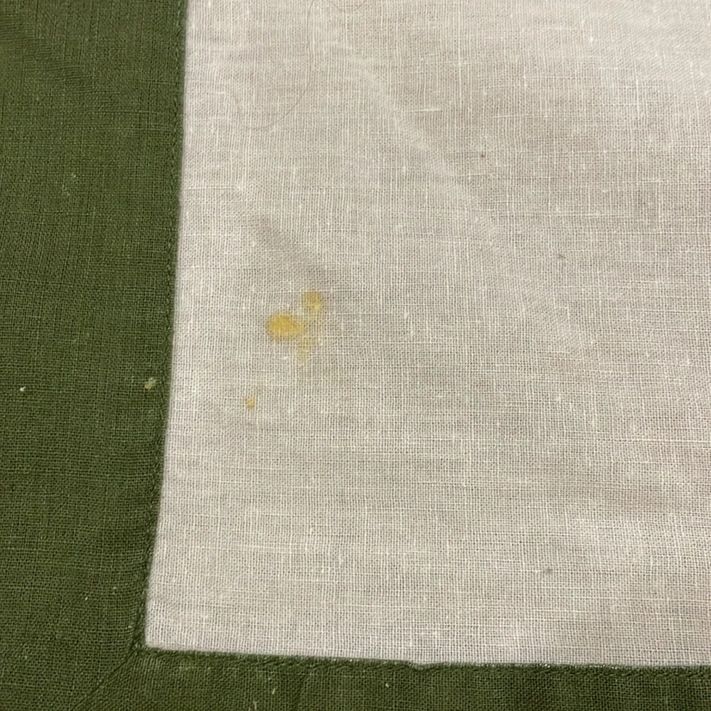 Williams Sonoma classic border placemats (part linen)